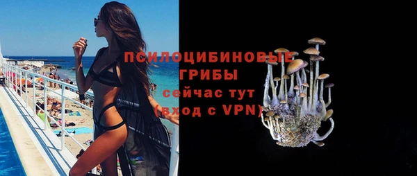 mix Снежногорск